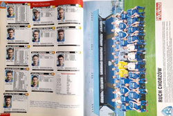 Skarb Piłkarski Liga Polska jesień 2012 (Piłka Nożna)