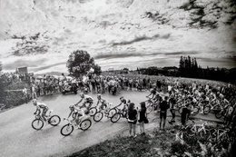 Tour de Pologne. Kulisy i emocje