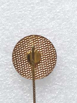 Odznaka AC Yvelines (Francja, emalia)