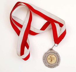 Medal XV Memoriał Szabo siatkówka, srebrny (Szczecin, 20-22.12.1996)