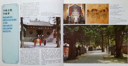 Wushu. Chińskie sztuki walki