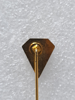 Odznaka Cercle Omnisport Metz Bellecroix (Francja, epoksyd)