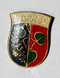 TJ NHKG Karwina (polewa epoksydowa)