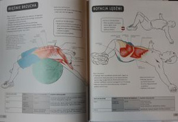 Anatomia w treningu szybkości