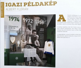 Rocznik Ferencvaros TC 2016 + film DVD