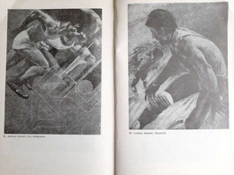 Katalog Zbiorów Muzeum Sportu i Turystyki. Zbiory sztuki Tom 2: Malarstwo