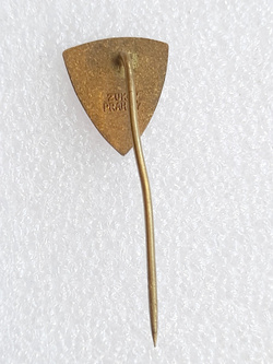 Odznaka TJ Zbrojovka Vsetin hokej na lodzie (Czechy, lakier)