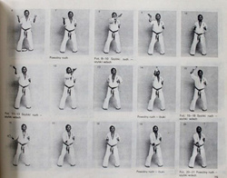 Kyokushinkai Karate Kata