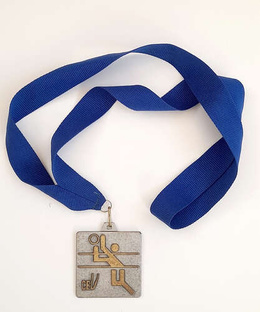 Medal Puchar Mistrzów CEV kobiet w siatkówce, srebrny 1998-1999