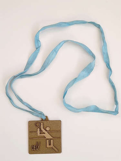 Medal złoty Liga Mistrzów Indesit CEV kobiet w siatkówce 2001-2002