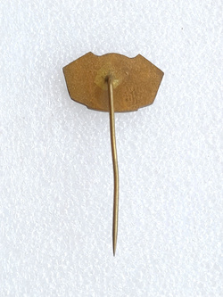 Odznaka 50 lat Slovan Bratysława 1919-1969 ( lakier) 