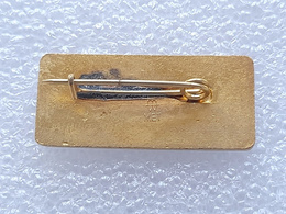 Odznaka VI Halowe Mistrzostwa Europy w lekkoatletyce Katowice 1975 (emalia, sygnowana)