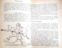 Sport w rodzinie (TKKF)