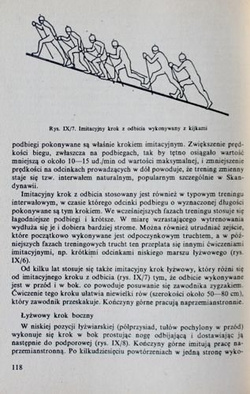 Narciarstwo biegowe (AWF Kraków)