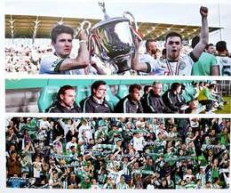 Rocznik Ferencvaros TC 2016 + film DVD