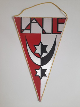 Proporczyk HSG Padagogik Halle, duży (NRD)