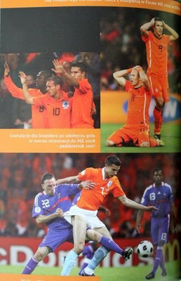 Robin van Persie. Biografia