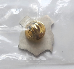 Odznaka Bruk-Bet Termalica Nieciecza stary herb (produkt oficjalny, lakier)