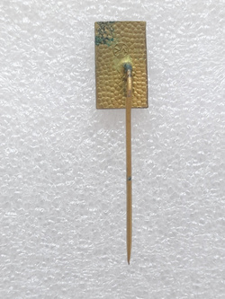 Odznaka Mistrzostwa Świata w narciarstwie klasycznym 1970, Vysoke Tatry (epoksyd, sygnowana)