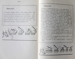 Programowane nauczanie skoku zawrotnego