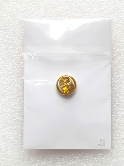 Odznaka Mecz Bruk-Bet Termalica Nieciecza - Widzew Łódź, Puchar Polski 24.9.2025 (limitowana edycja)