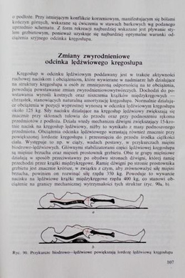 Gimnastyka w życiu kobiet