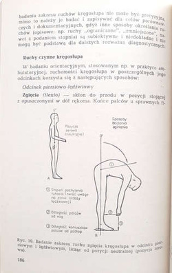 Medycyna sportowa w praktyce (wydanie II)