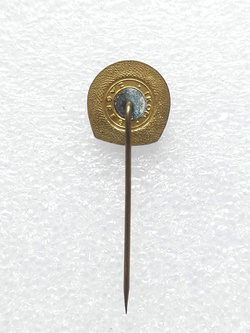 Odznaka FK Radnicki Obrenovac (Serbia, epoksyd, sygnowana) 