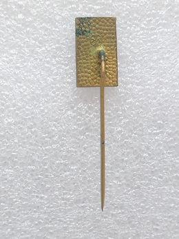 Odznaka Mistrzostwa Świata w narciarstwie klasycznym 1970, Vysoke Tatry (epoksyd, sygnowana)