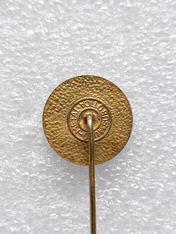 Odznaka FK Maldost Rogatica herb (Bośnia, epoksyd, sygnowana)