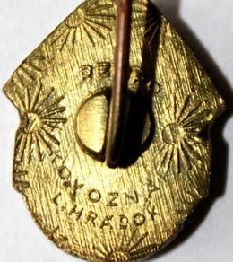 Odznaka Raba ETO Győr (polewa epoksydowa; z sygnaturą)