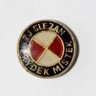 TJ Slezan Frydek-Mistek (polewa epoksydowa)