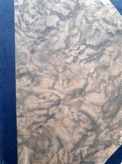 Lekka Atletyka. Statuty, Regulaminy, Przepisy, Tabele (1932)