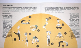 Informator-poradnik Sportowy tydzień Kowalskich (TKKF)