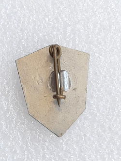 Odznaka SK Sibir Nowosybirsk hokej na lodzie (ZSRR, lakier) 