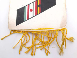 Proporczyk Hokejowe Mistrzostwa Świata na lodzie - Grupa B (Tokio, 10-21.3.1977)