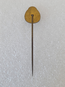 Odznaka 50 lat FK Elektrovojvodina Subotica (Serbia, epoksyd)