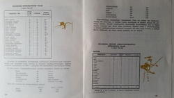 Pół wieku królowej