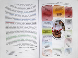 Ringo w Polsce i na świecie. 60 lat rozwoju gry sportowej dla każdego