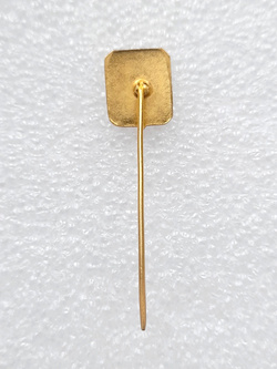 Odznaka Saad EC Sao Caetano (Brazylia, lakier)