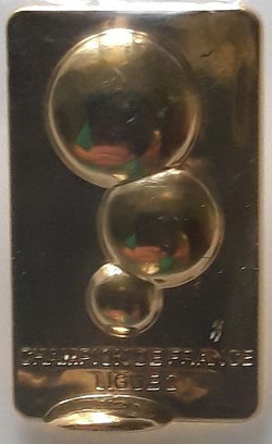 Trofeum za Mistrzostwo 2. ligi Francji w piłce nożnej (produkt oficjalny)