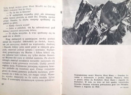 Notatnik alpejski