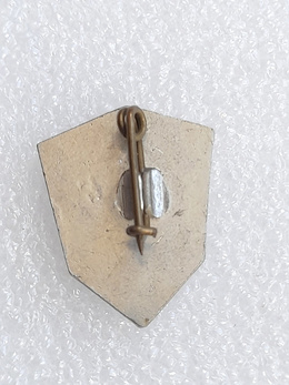 Odznaka SK Sibir Nowosybirsk hokej na lodzie (ZSRR, lakier) 