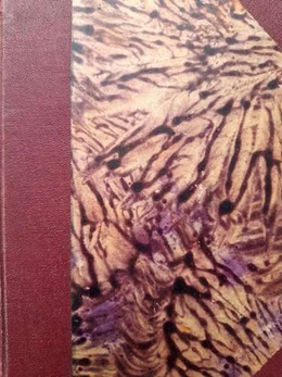 Krótki podręcznik pływania (1931)