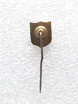 Odznaka FK Sarajewo (epoksyd)