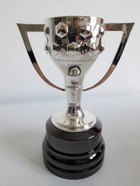 Duża replika trofeum mistrzostwo La Liga (oficjalny produkt RFEF) 15,5 cm