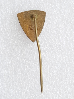 Odznaka TJ Zbrojovka Vsetin hokej na lodzie (Czechy, lakier)