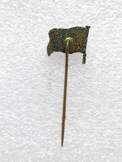 Odznaka LASK Linz herb flaga (epoksyd) 