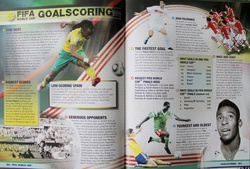 Światowe Rekordy Piłkarskie 2012 (oficjalna publikacja FIFA)