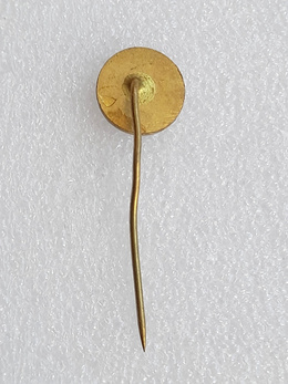 Odznaka TJ TZ Trinec hokej na lodzie (Czechy, epoksyd) 